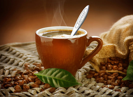 Cuisinox Signature Series, Set of 6 Espresso Cups, Brown Porcelain